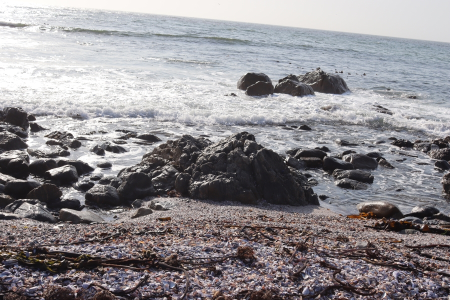 0 Bedroom Property for Sale in Da Gama Bay Western Cape